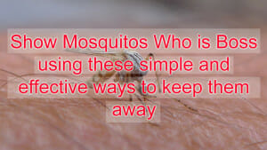 mosquito repellent #mendooutdoors