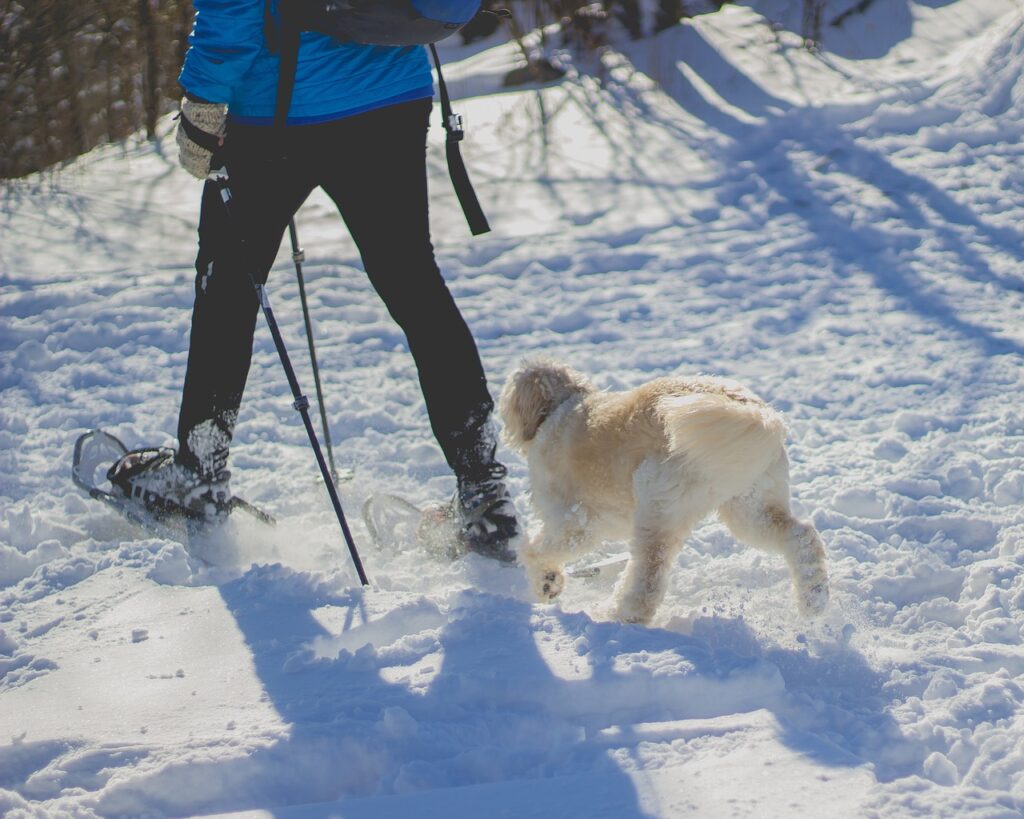 beginners guide to snowshoeing