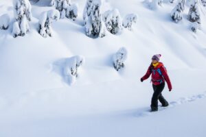 mountaineering snowshoes