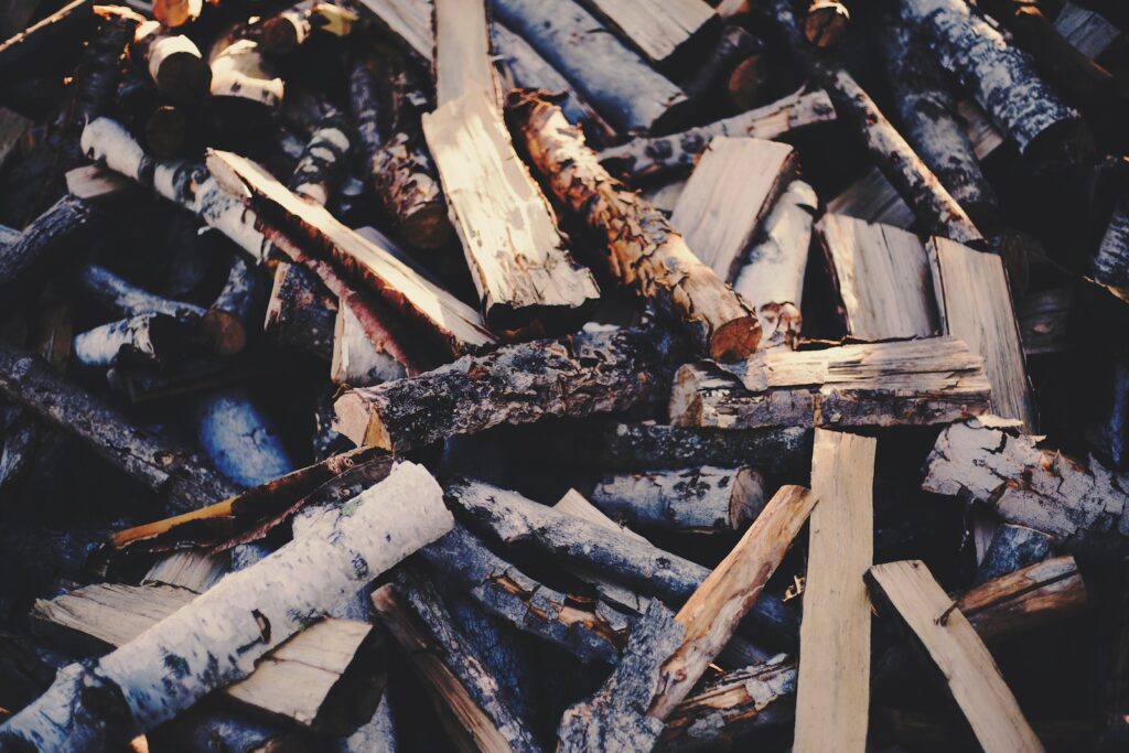 Types of wood for camping fires