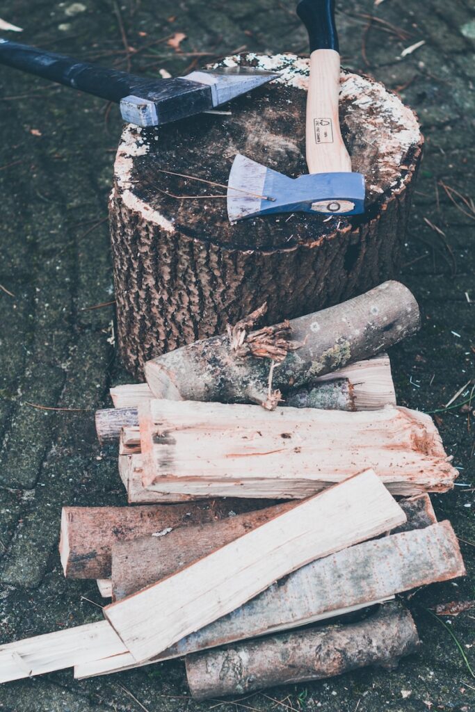 Types of wood for camping fires