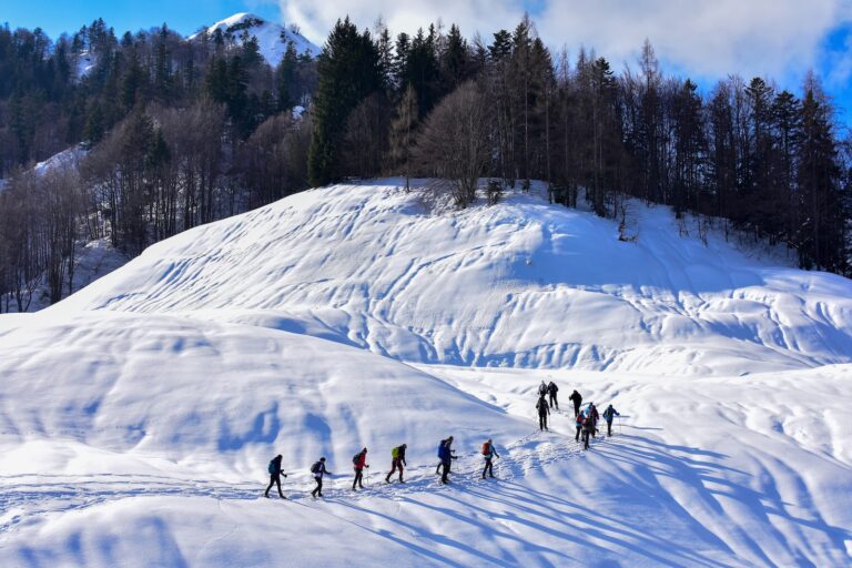 competitive snowshoeing events