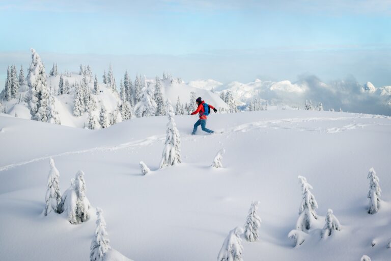 How difficult is Snowshoeing